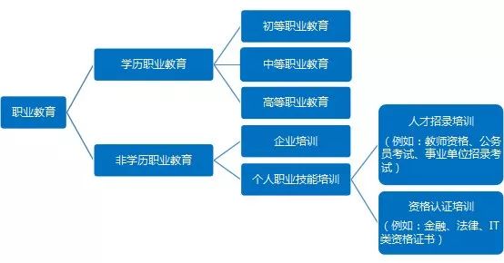 職業教育需求旺盛，兩大領域成為剛需