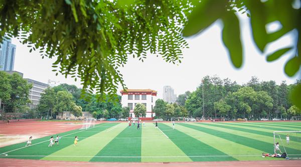 為什么選擇青島滿天星職業培訓學校？